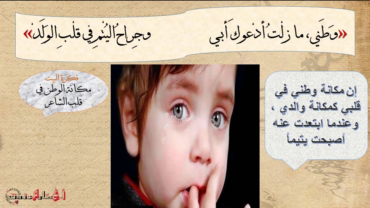 قصيدة وطني جورج صيدح بكالوريا أ. محمد عمار مرزوق