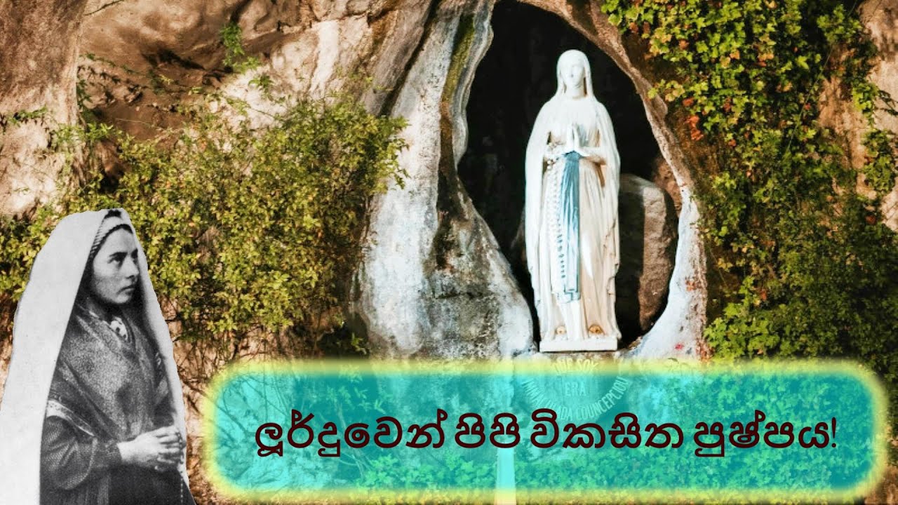 ලූර්දුවෙන් පිපි විකසිත පුෂ්පය!  Our Lady of Lourdes