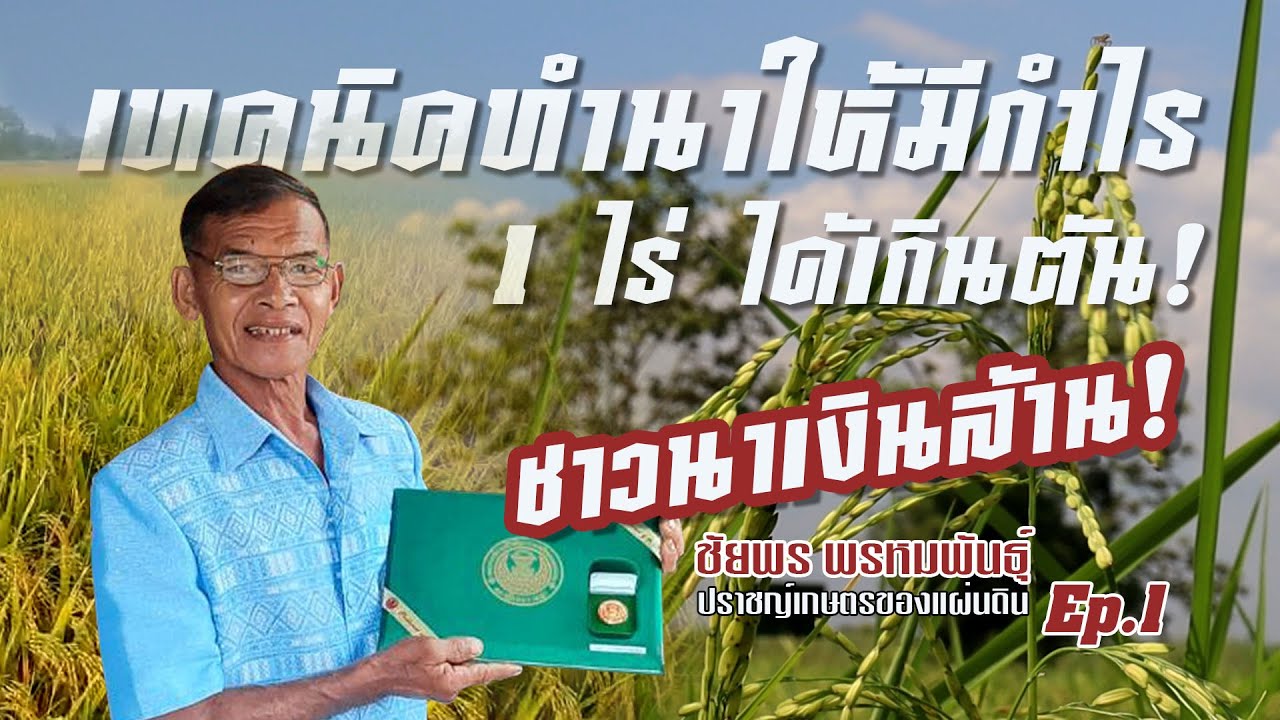 เทคนิคทำนาให้มีกำไร 1 ไร่ ได้เกินตัน #เกษตรอารมณ์ดี