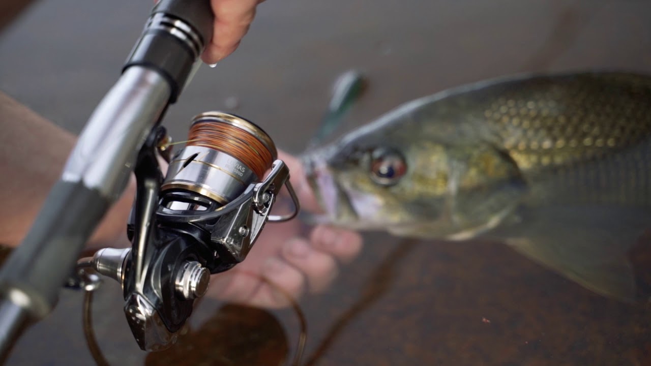 Daiwa Luvias LT