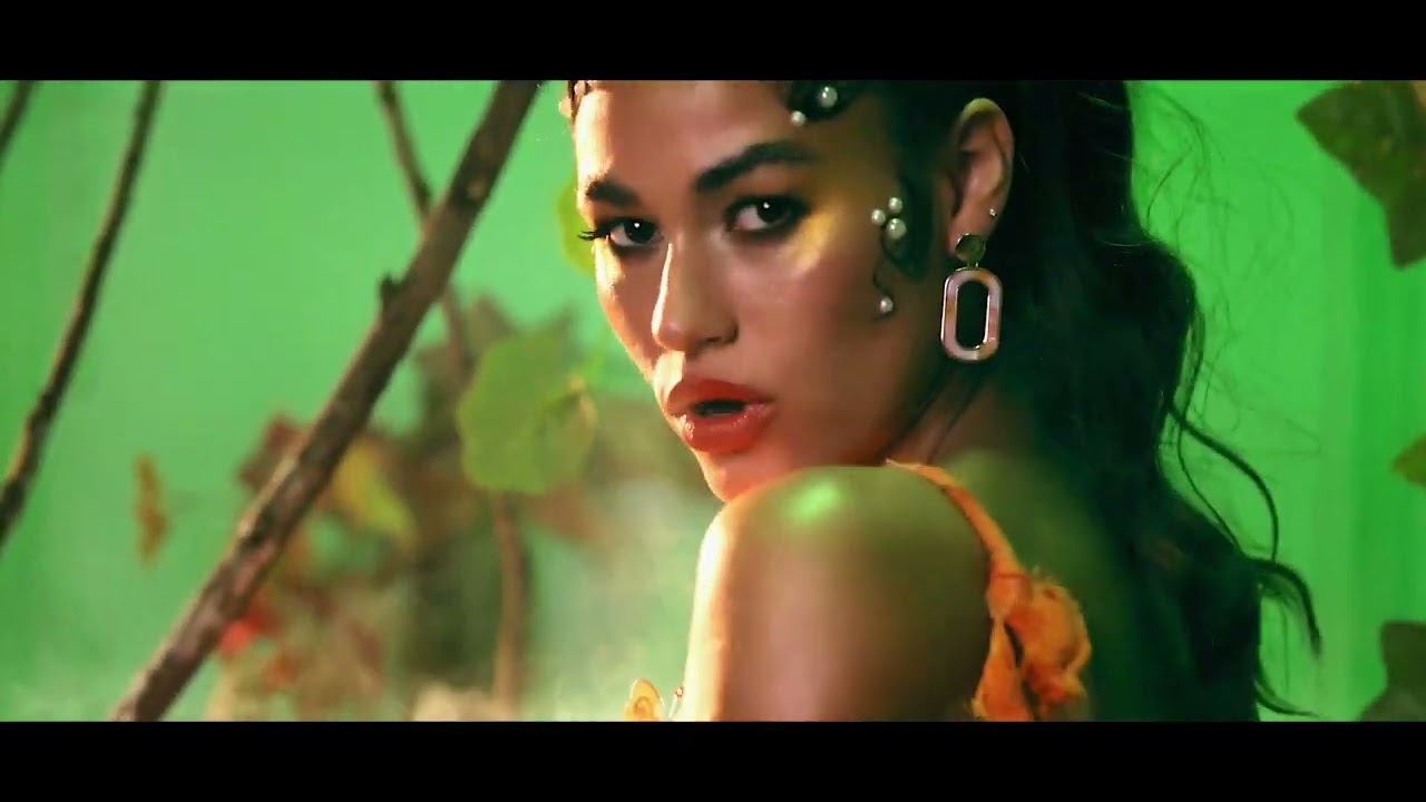 Lorena Medina - Perfil Falso (Official Video)