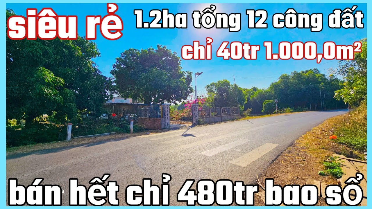 Chủ gửi bán mảnh đất dt 12.000,0m² tổng 12 công đất giá chỉ 480tr bao sổ 