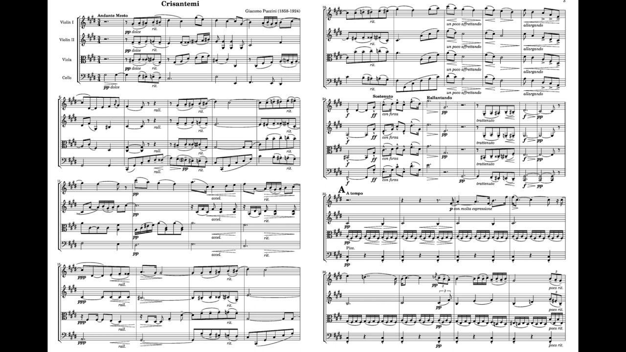 Puccini I Crisantemi for String Quartet C sharp major 蒲契尼 菊花 輓歌 弦樂 四重奏 プッチーニ Score Sheet 譜 【Kero】