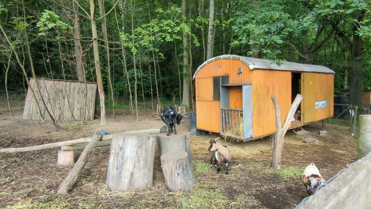 camping in Germany