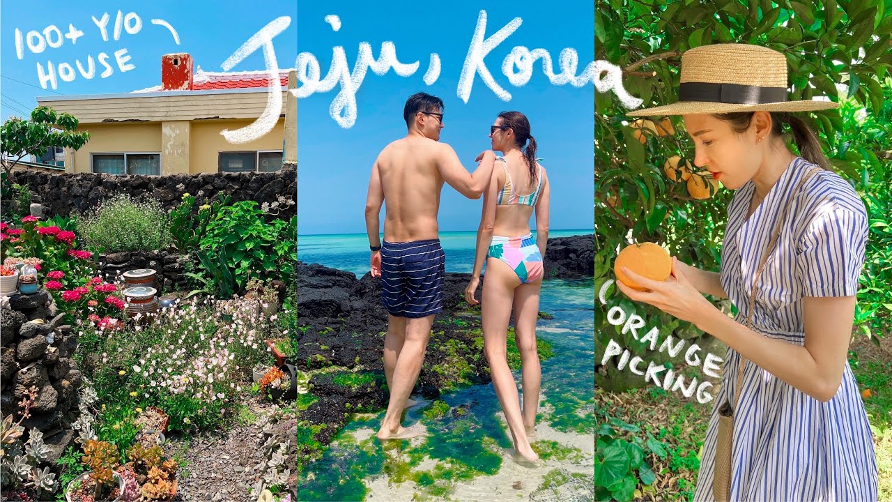 Jeju Island, Korea 🌴🍊 Staying in a 100 Year Old House, Orange Picking, & Beach Day 🌊