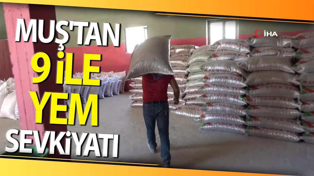Doğu, Güneydoğu Ve Karadeniz’e Muş’tan Yem Sevkiyatı
