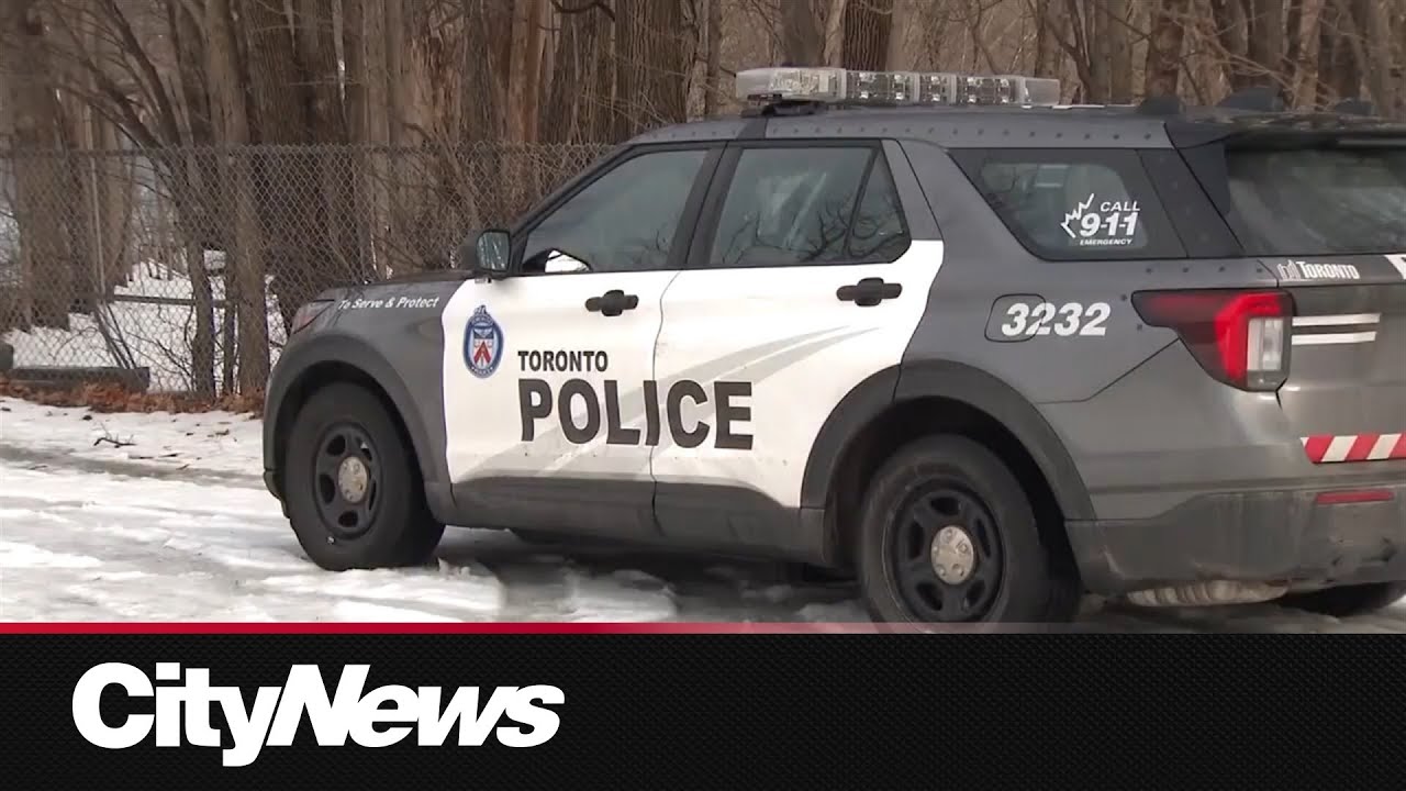 Ontario-wide review of police forces is launched