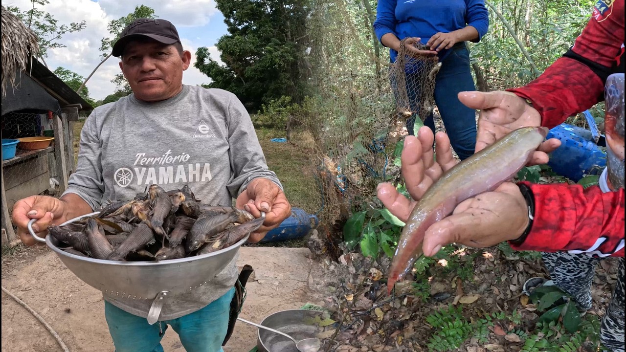 Amigos de la Pesca cap 77: PESCA Y RECETA ANCESTRAL: Tradición llanera de solo una semana al año!