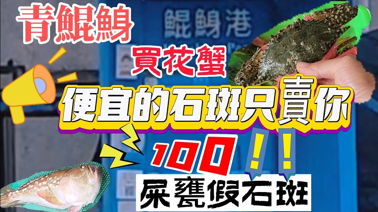 〔台南青鯤鯓買螃蟹〕大花蟹一斤多少錢啊？我朋友要買……什麼只有五隻！澎湖的石斑魚只賣我100元？老闆我書讀不多妳不要騙我啊／沙公／花蟹／三點蟹／朱魚過魚／青石斑／烏格仔／台語／