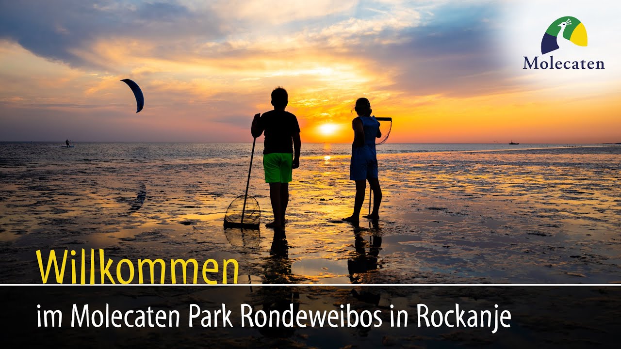 Willkommen im Molecaten Park Rondeweibos in Rockanje, Niederlande