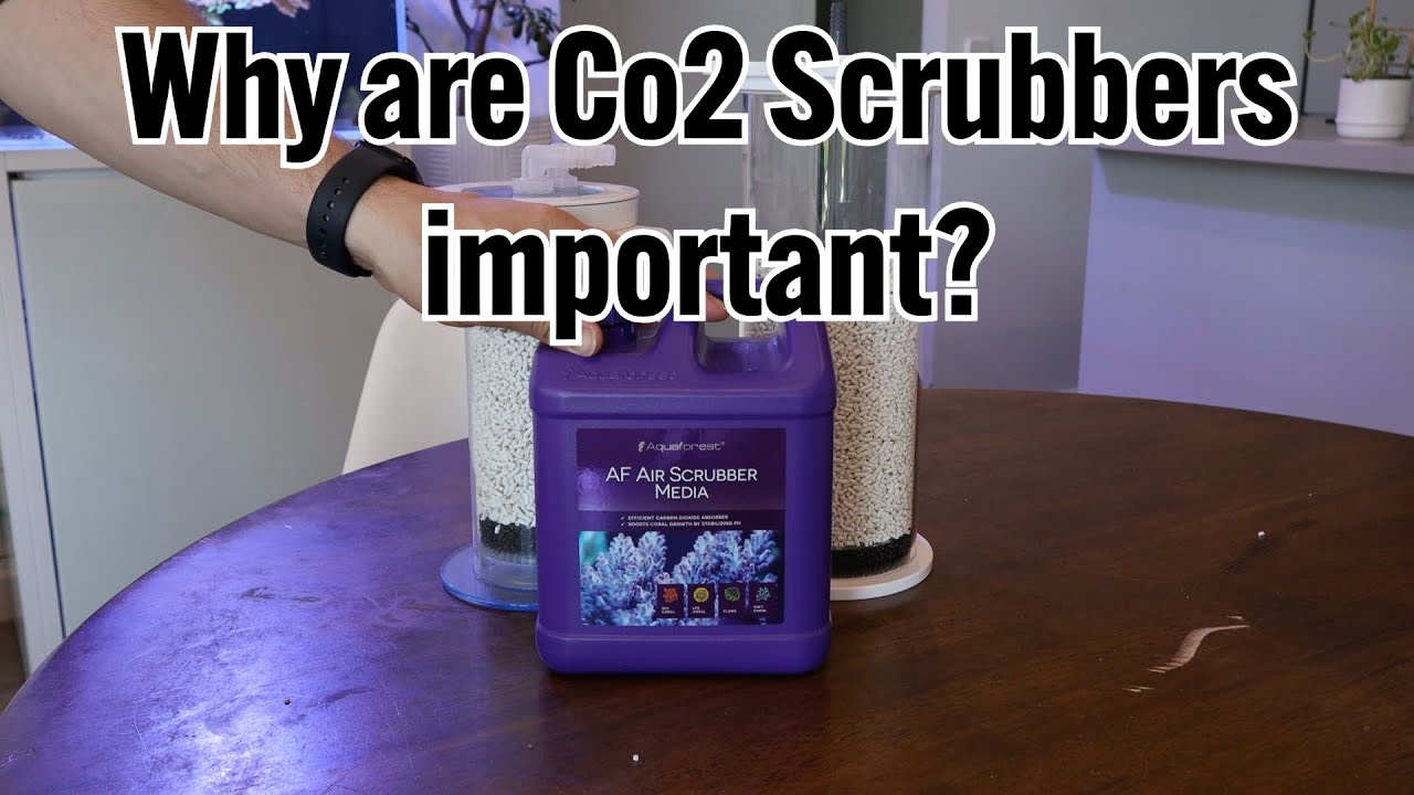 why are Co2 scrubbers important for reef aquariums?
