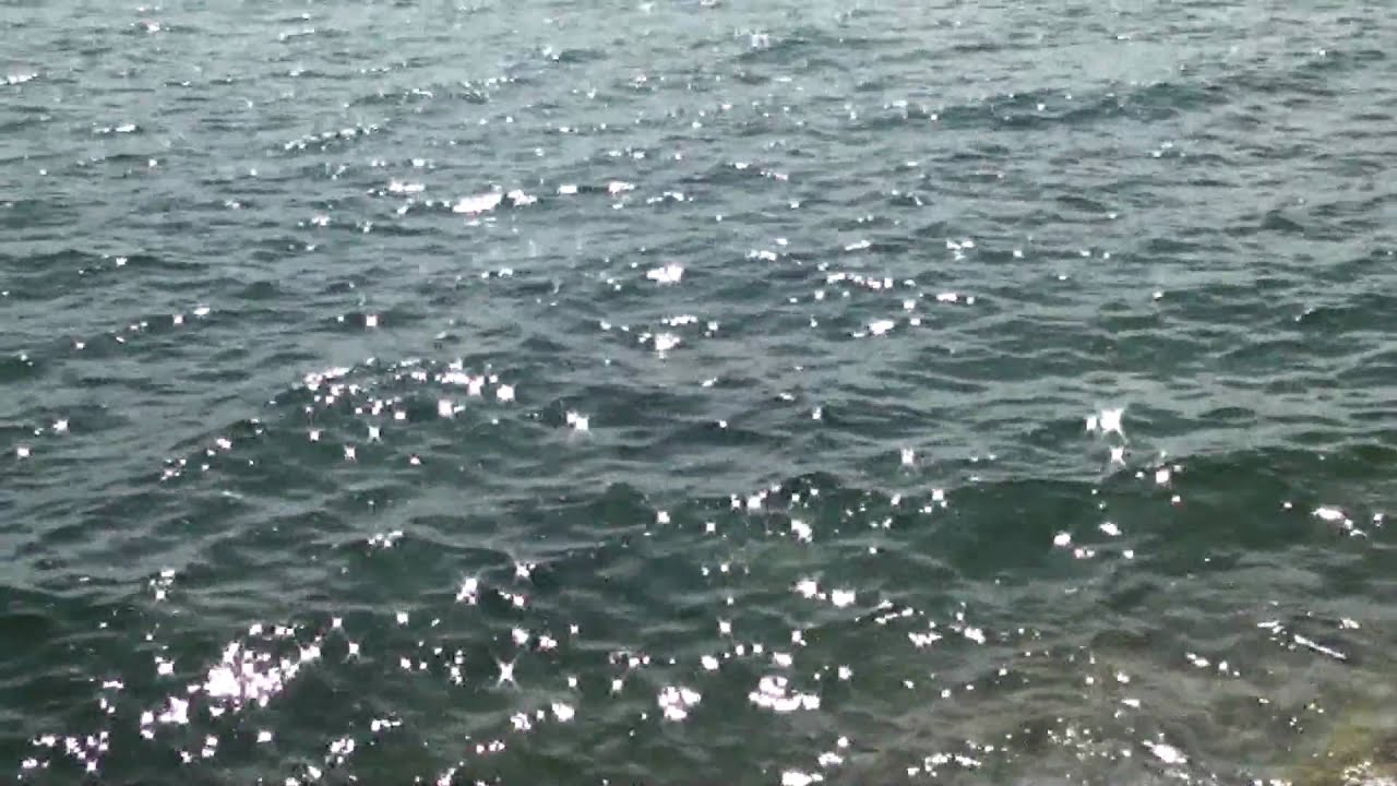 Leslie Street Spit, Toronto