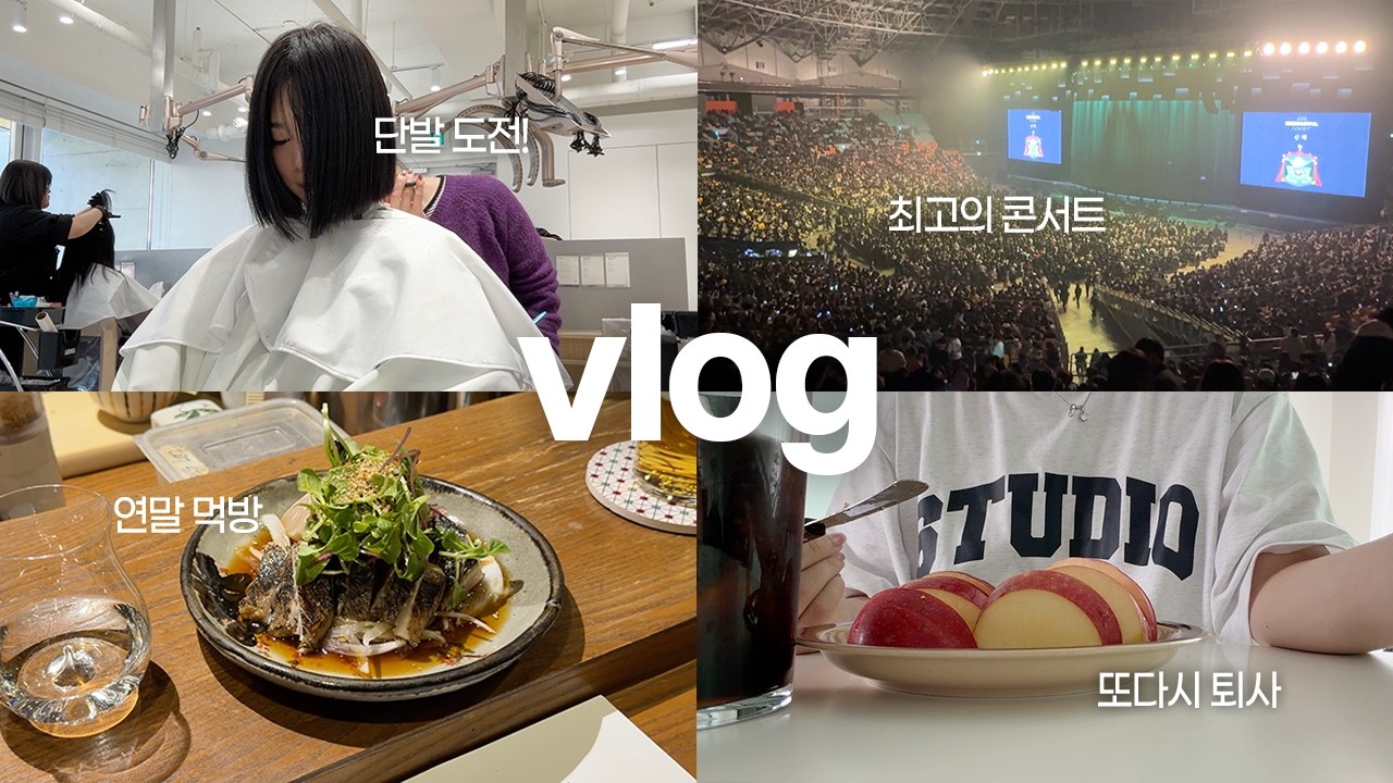 그동안 뭐했냐면.. ｡o( 단발, 콘서트 관람, 또 퇴사, 아이폰17pro 구매, 먹방 )