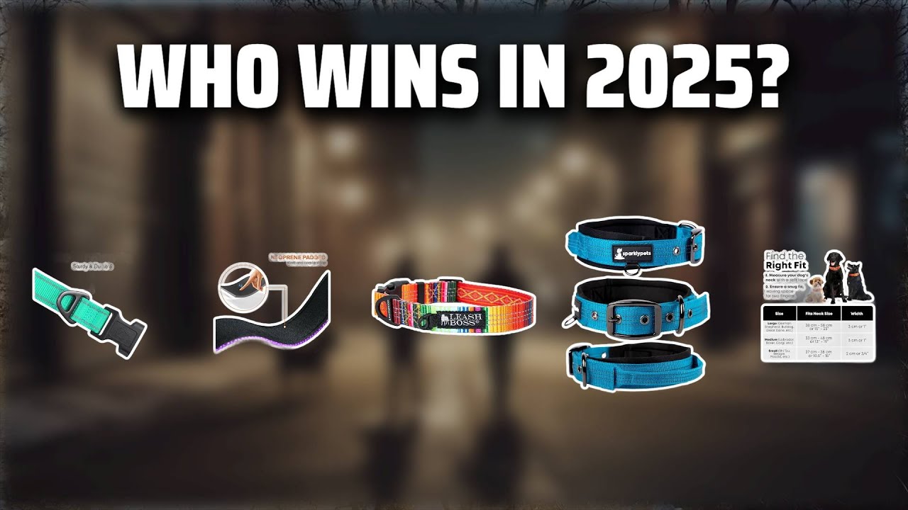 The Top 5 Best Reflective Collar in 2025 - Must Watch Before Buying!