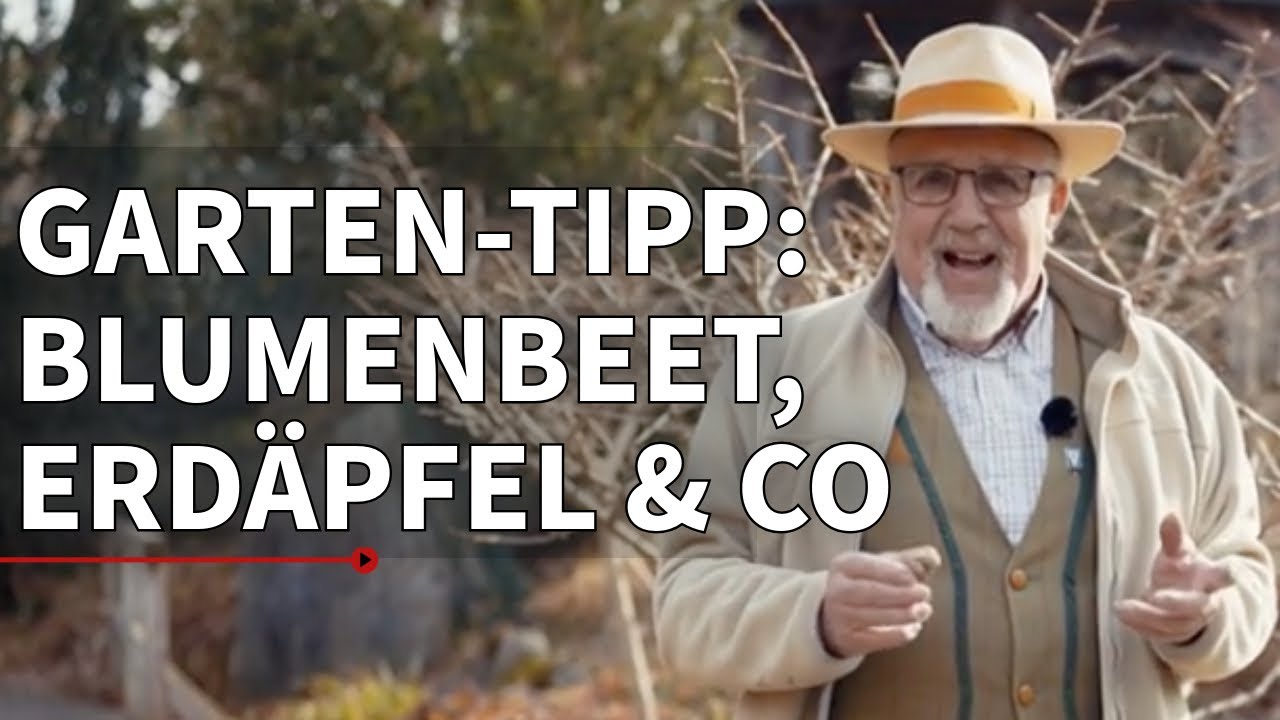 Blumenbeet, Erdäpfel & Co - Der richtige Start ins Frühjahr: Tipps vom Experten | Gartln mit Starkl