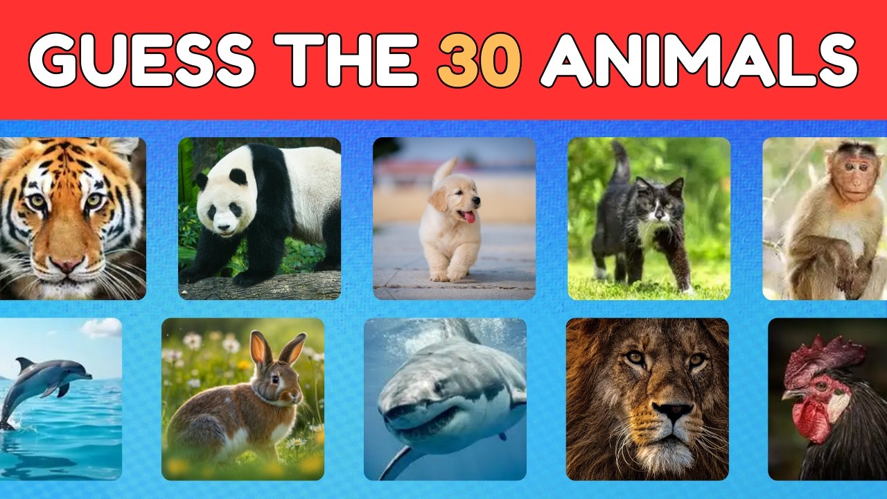 Guess The Animal Quiz! 🐾 Can You Name All of Them?