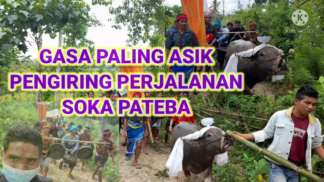 Gasa paling asik pengiring perjalanan soka pateba || budaya sumba || sumba barat daya