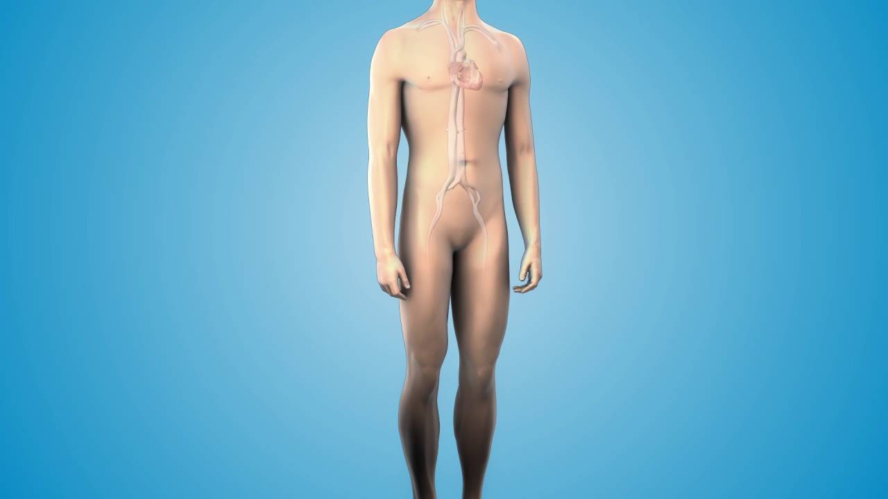 Medtronic Micra Transcatheter Pacing System - BayCare