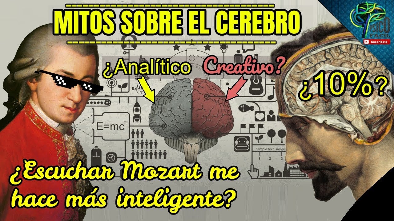 MITOS SOBRE EL CEREBRO ACLARADOS POR LA CIENCIA!!!