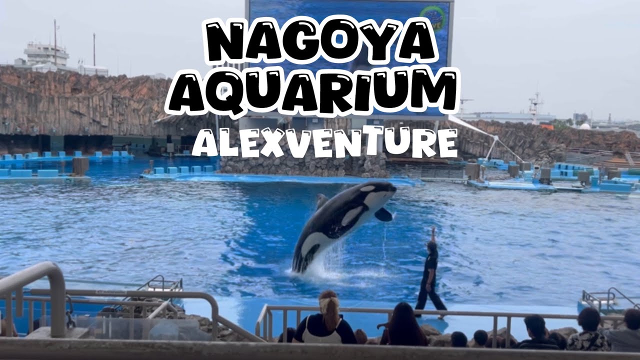 Exploring Port of Nagoya Public Aquarium