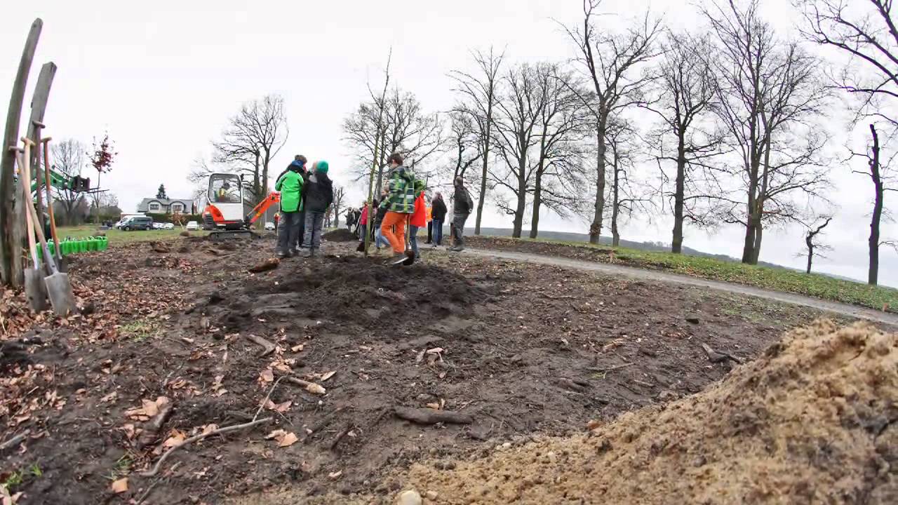 Pflanzaktion in der F&uuml;rstenallee