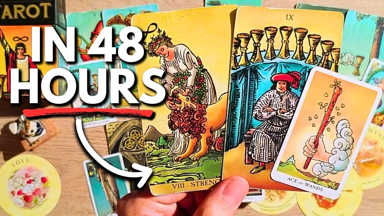 Love or fun? Expect them to tell you this... | What you don't see coming... Tarot Reading