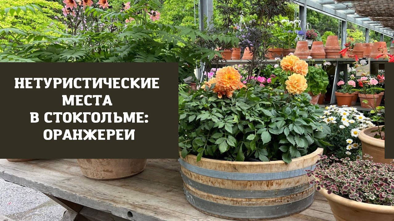 НЕТУРИСТИЧЕСКИЙ СТОКГОЛЬМ: ОРАНЖЕРЕИ