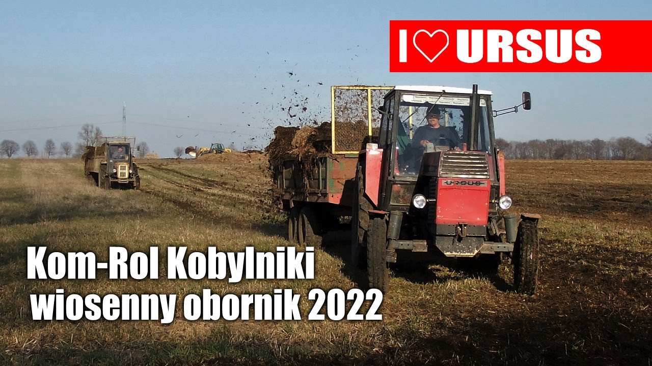 Wiosenny obornik z Ursusami - Kom-Rol Kobylniki