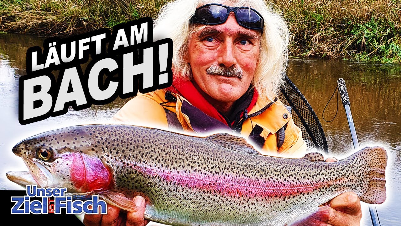 WILDE FORELLEN mit SPEZIALTAKTIK: GRO&szlig;E &Uuml;BERRASCHUNG am BACH! Unser Ziel ist Fisch  J&Ouml;RG OVENS