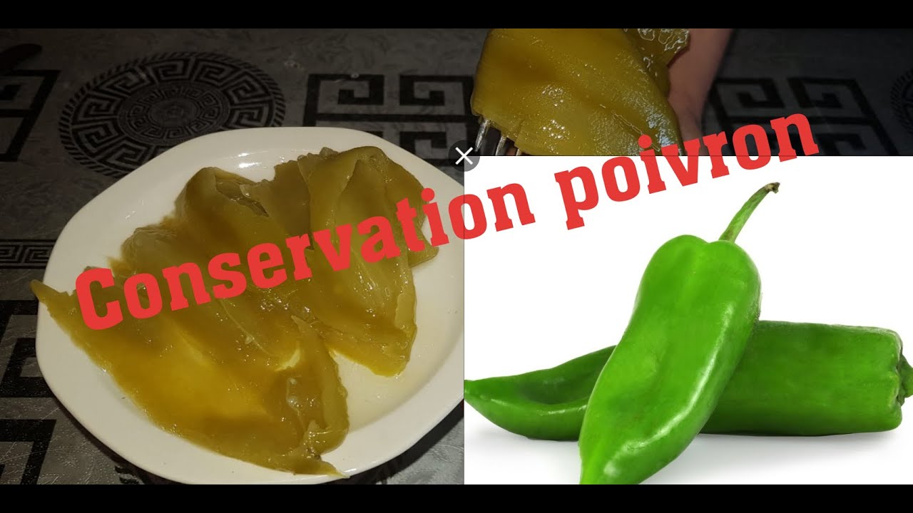 CONSERVATION DU POIVRON