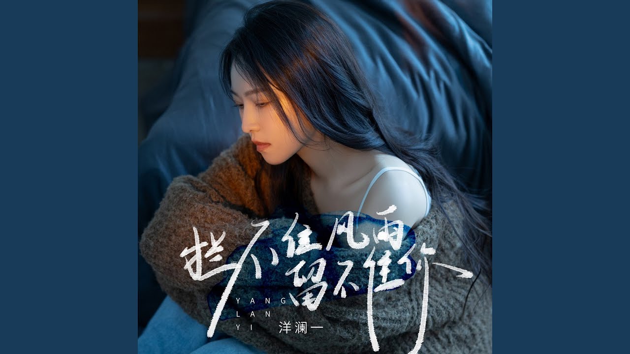 拦不住风雨留不住你 (DJ九零版)
