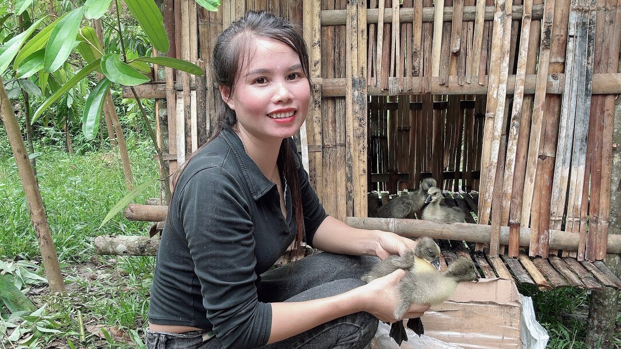Hong Sells Snails and Chicken Eggs to Buy Geese for Her Farm