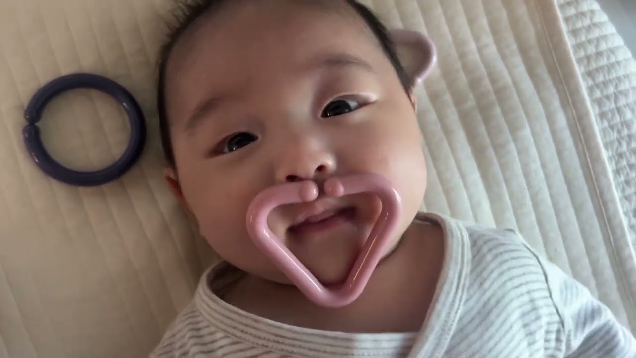 D+68~D+71, 오짱똘의 일상