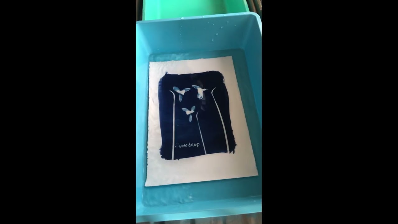 Cyanotype Wildflower Printing Workshop