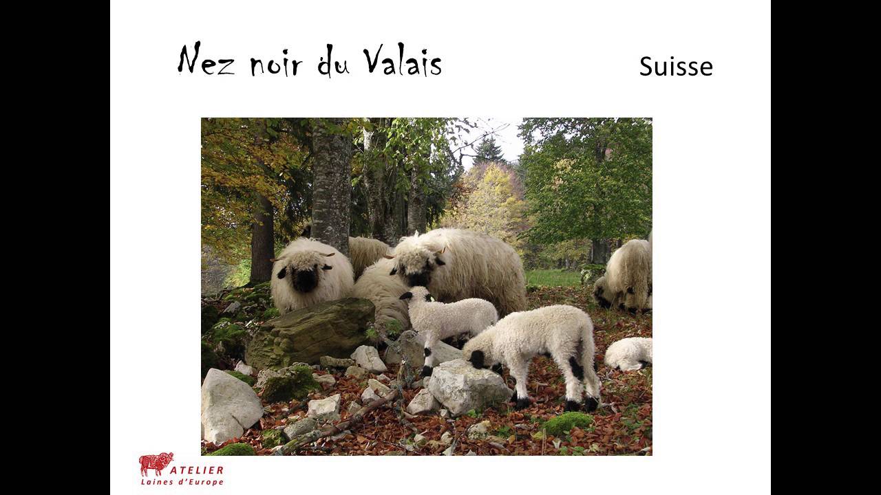Les Rencontres des Gobelins / La laine : une mati&egrave;re premi&egrave;re, des usages