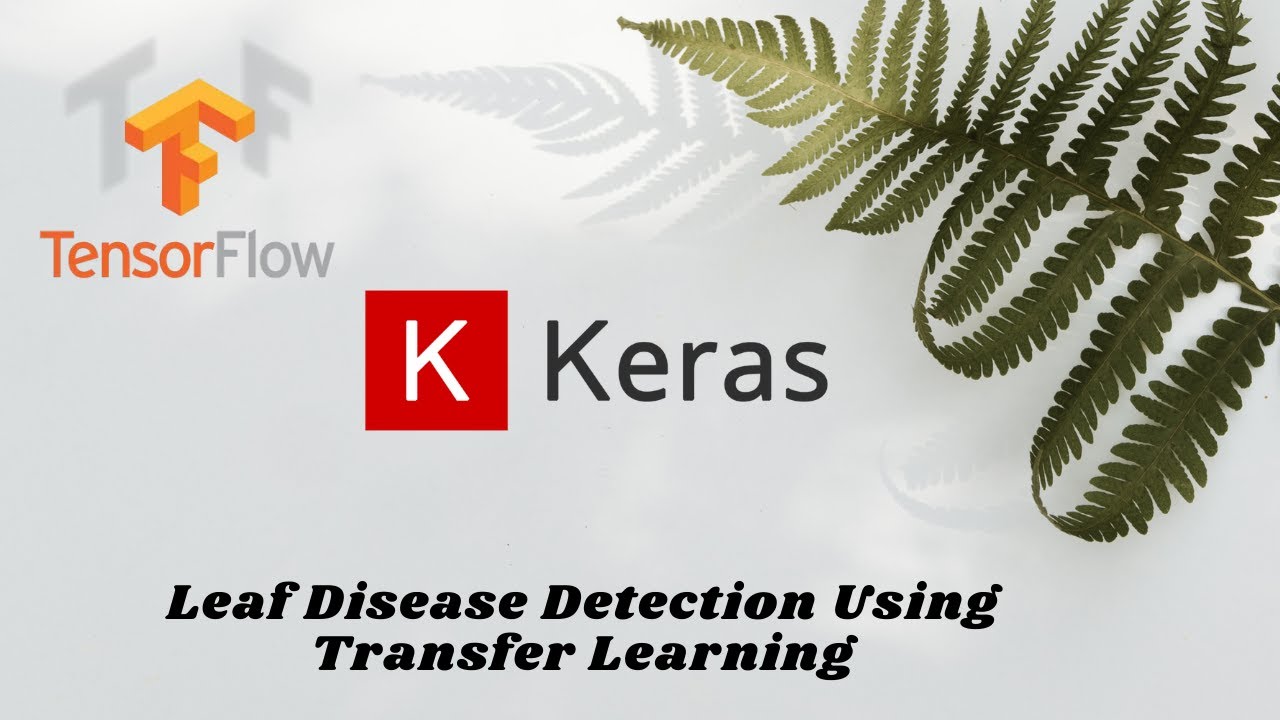 Leaf Diseases Detection Using Transfer Learning | Deep Learning