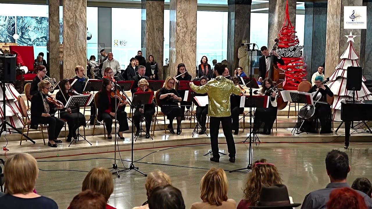 Josif Ivanović: Dunavski valovi - Camerata Sonora chamber orchestra