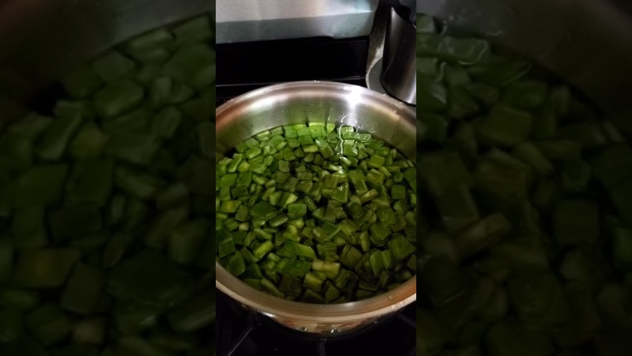 Olla de Vida Sana 6qt