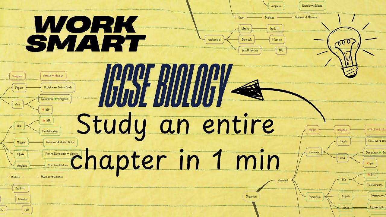 If you're taking IGCSE Biology in 2026? This will save hours of revision