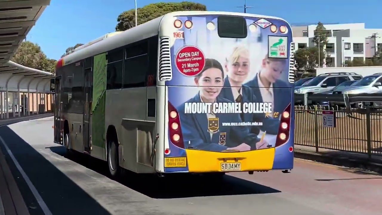 Buses At Tea Tree Plaza