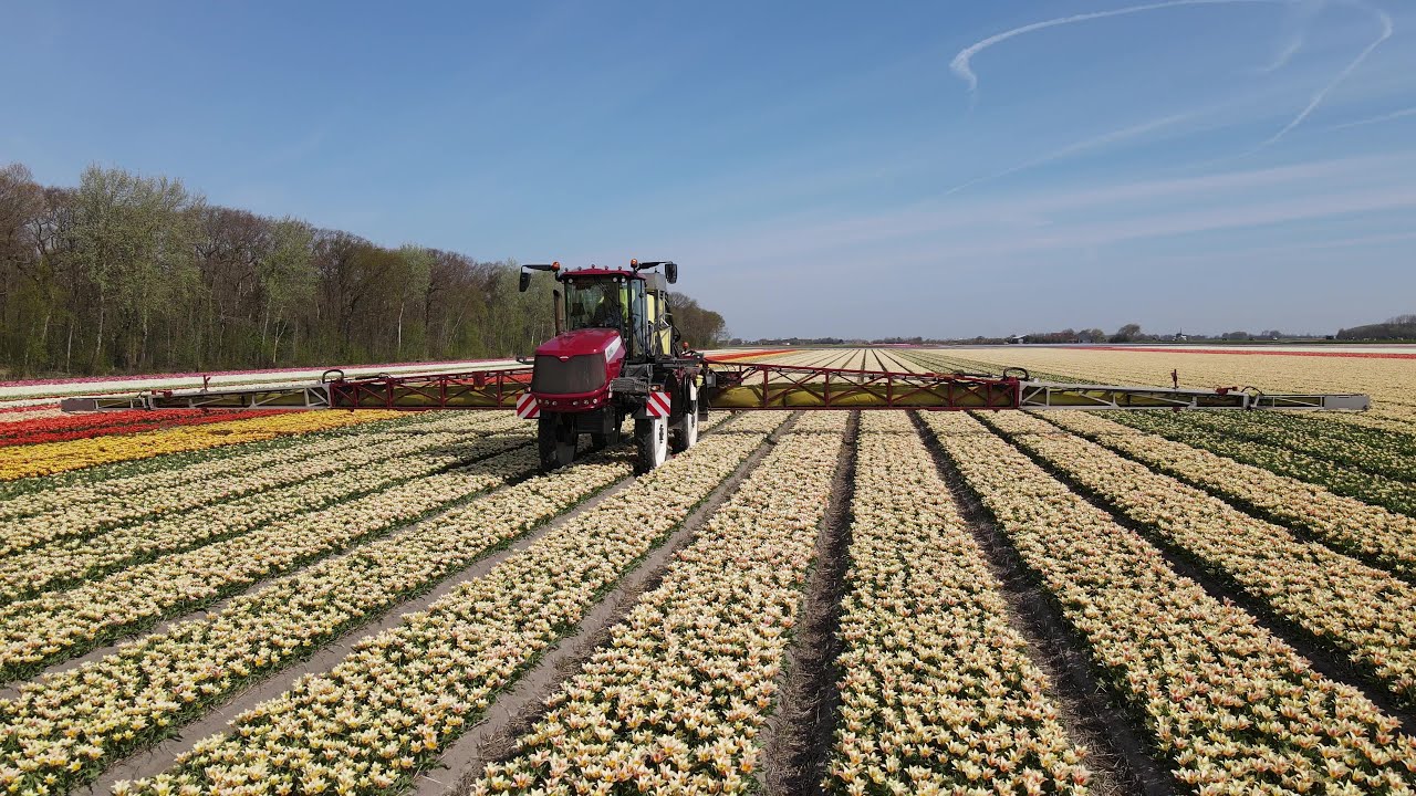 Hardi Alpha Evo II Ecodrive spraying tulip fields with Twin Force air support - 32 mtr and 4200 ltr.