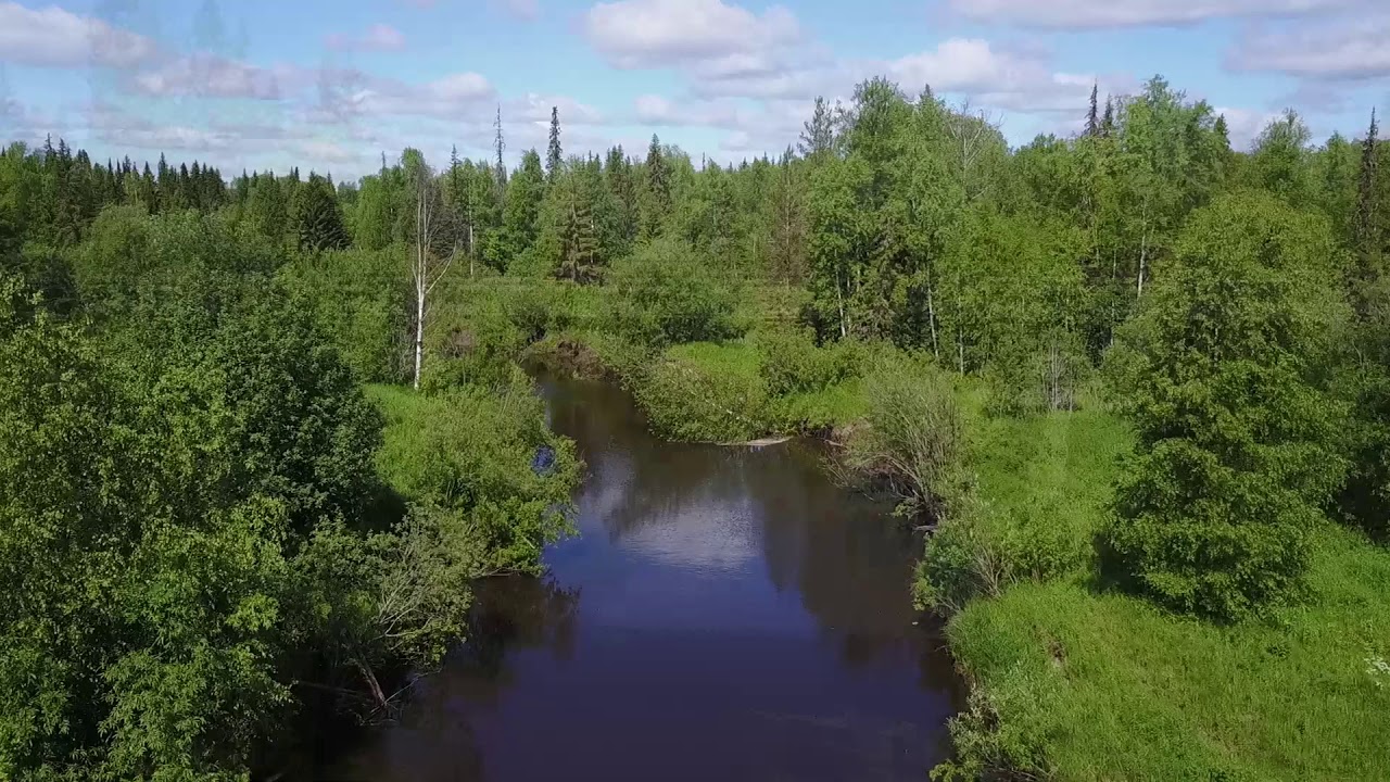 Деревня Канава, Северо-Екатерининский канал, речка Северная Кельтма.Дикая природа этих мест.