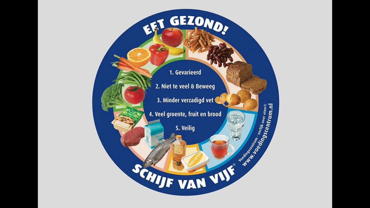 Schijf van Vijf nader bekeken.