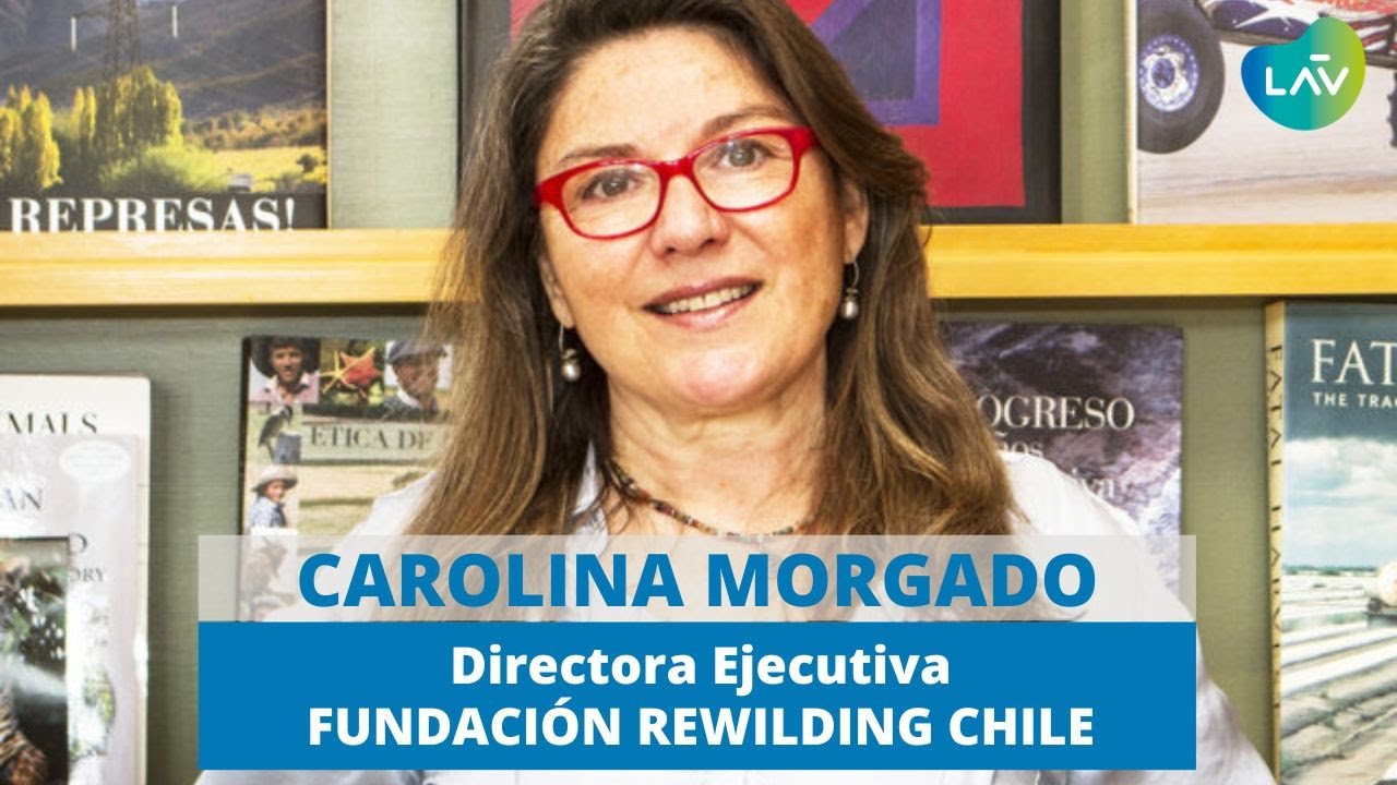 CAROLINA MORGADO, REWILDING CHILE