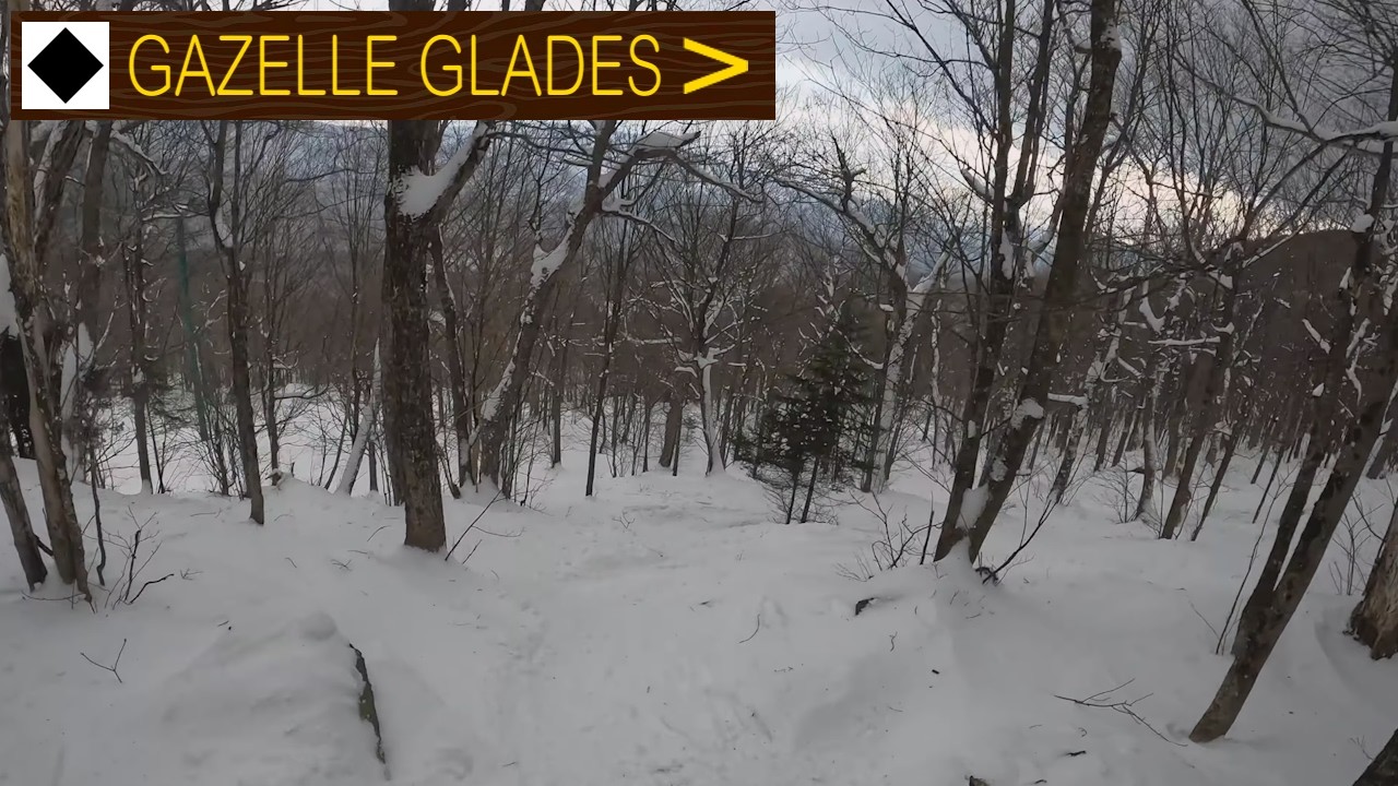 Mad River Glen, VT - ◊ Gazelle Glades 🌲 to 🟦 Chipmunk to ◊ Waterfall (12-17-25) [4K]