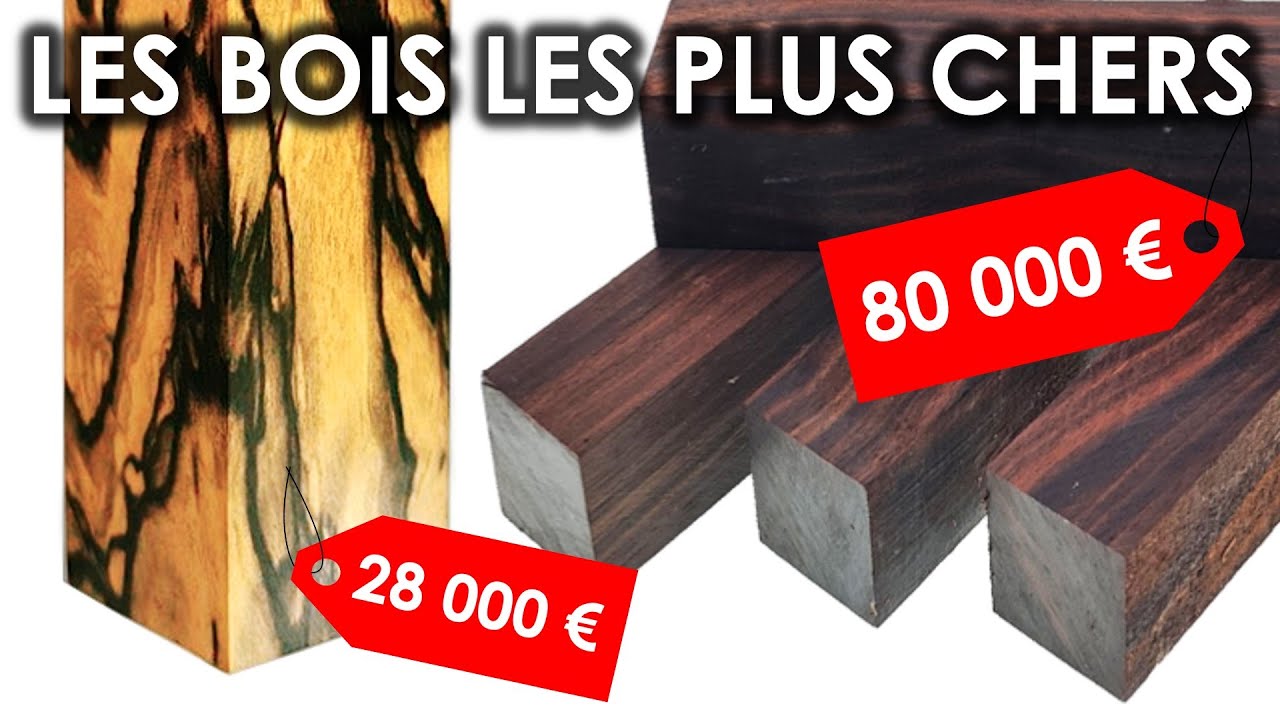 7 Essences de BOIS les PLUS CHÈRES au Monde !