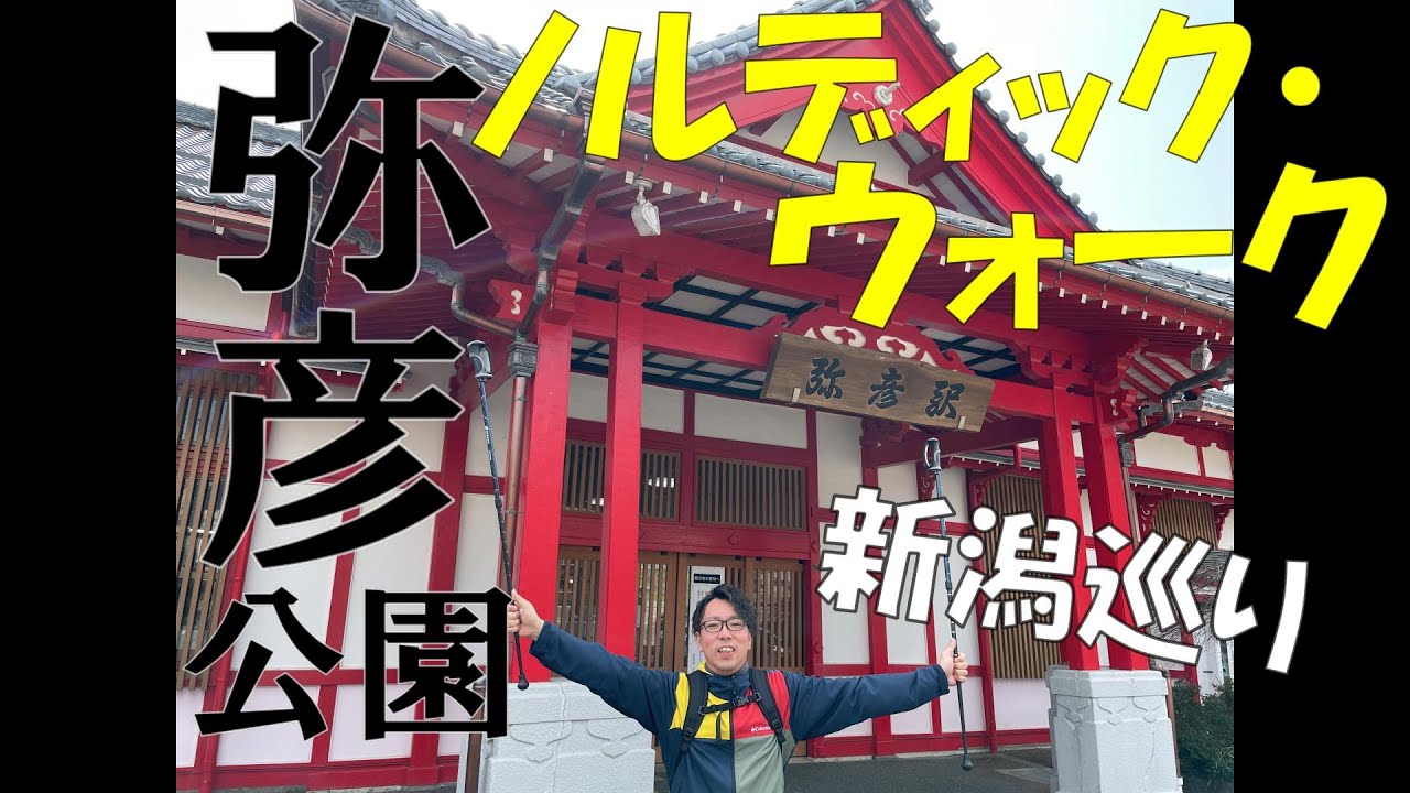 【新潟巡り★弥彦公園】今の季節の観光名所！