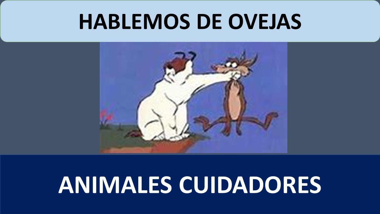14- ANIMALES CUIDADORES