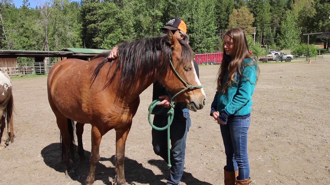 Rethink Industries - Equine Therapy