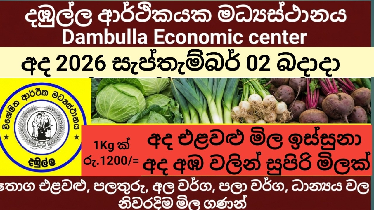 Today 2026.09.02 Dambulla market vegetables & fruit wholesale price list / ada dambulle elawlumila